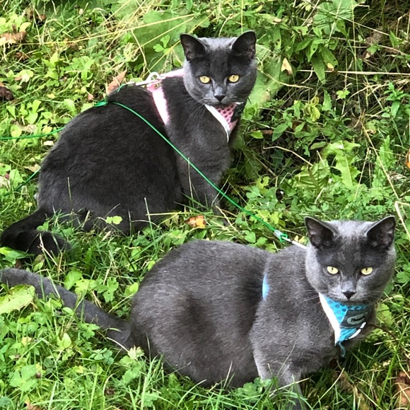 Meet your Posher, Catherine - Picture 4 of 8